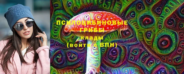 молекула духа Бронницы