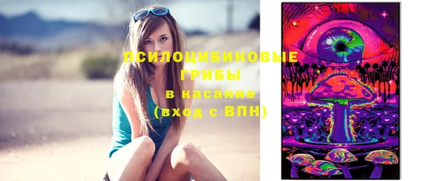 дживик Бородино