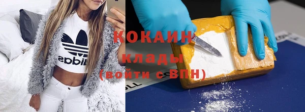 молекула духа Бронницы