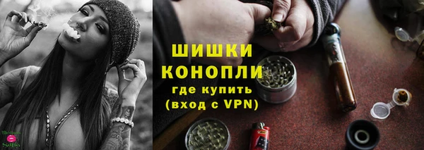 дживик Бородино
