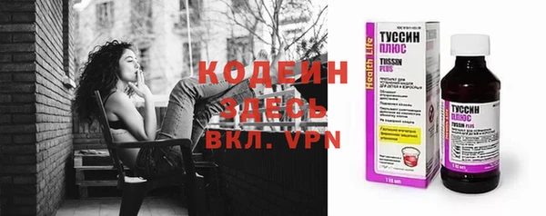 дживик Бородино