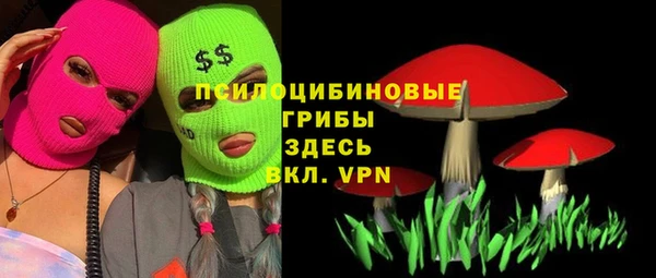 дживик Бородино