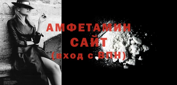дживик Бородино