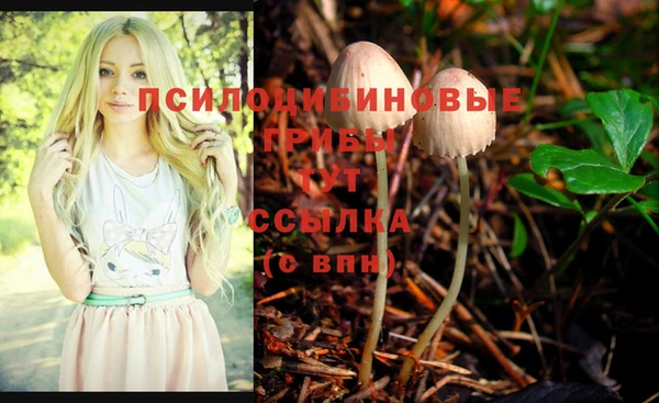 марки nbome Бугульма