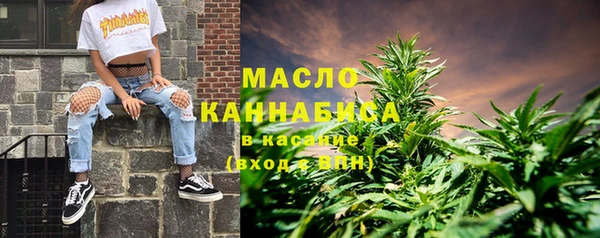 дживик Бородино