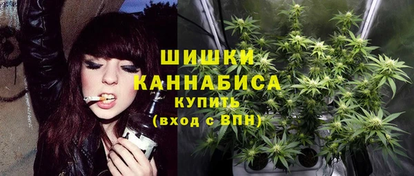 молекула духа Бронницы