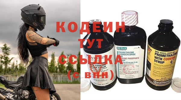 дживик Бородино