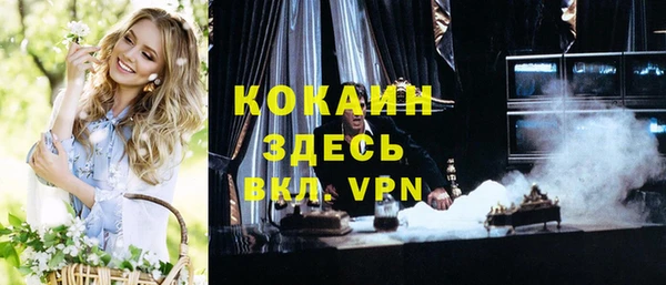молекула духа Бронницы