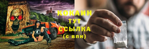 дживик Бородино