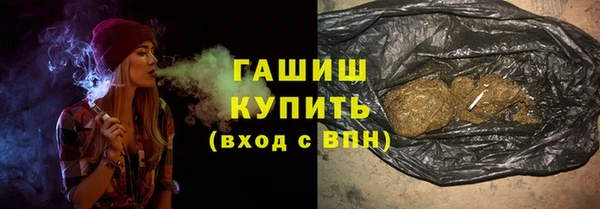 дживик Бородино