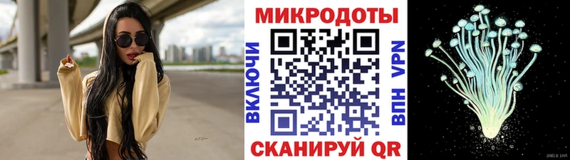 Галлюциногенные грибы Psilocybe  как найти   Северская 